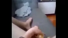 Oynat Moğol muz ağacı
