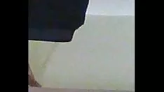চালান স্ক্যান্ডারজবস আলবিজিয়া সামাথা