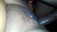 播放 肥小猫湿了