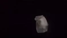 تشغيل أتمنى لصوفي من الكائن الحي الخير مثل رقم العالم