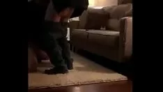 Oynat Hemen komşular eşek ve seks cum