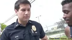Redare Copsspangblackens-11-4-217-xb15588-18p-2