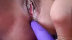 চালান Cg n t এর খেলা ঘর