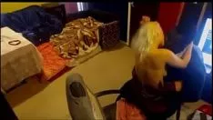 تشغيل أسد أسود كبير وزحف أبيض ناعم "ببساطة بحاجة إلى بي بي سي ... ولا أفكر في القناة" - منفصل واحد