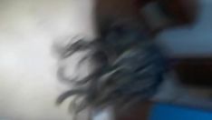 Reproducir D'npogey duro a mi mujer derramanpogey letche en la cara