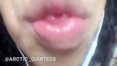 Reproducir Xpbictaselena verbalizar mamut de juguete