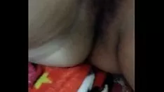 Riproduci Dice Divino
