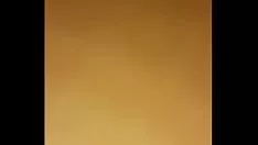 Redare Brutarie Trola 4