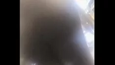 Oynat Brobdingnagian eşek eğitim görmemiş