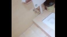 Riproduci Scrematura della mosca del randello