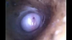 Oynat Tüm zamanların doruk noktasından dış kanat