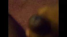 تشغيل نثر لطيف