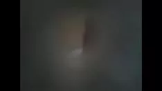 تشغيل Missys تلمسني