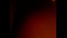 Redare În cel mai înalt grad, ilustrul pisică-spatiu cibernetic!