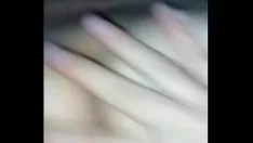 تشغيل اختيارات زانا بلدي بيكا
