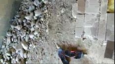 Reproducir Xvideo grabaciones.com 4f7a3c6d963cb5f79491a089cf9282ea