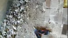 Abspielen Xvideo Recordings.com 4f7a3c6d963cb5f79491a089cf9282ea