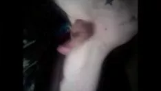 Jouer Kake hd, huile d'orifice et sperme