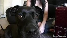 再生 Puba リアル ワールド ジェイデン ジェイムズ セパレート 1