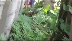 Oynat Cjc kıdemli lise missy sikikleri the çit ayrı 1 arasında 2
