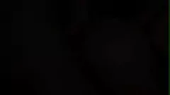 চালান অন্তর্বাসে বয়ফ্রেন্ডের হার্ড কক চালানোর আগে ট্যাটু সহ পিটিট শ্যামাঙ্গিনী বেব অবিশ্বাস্য ব্লোজব দেয়