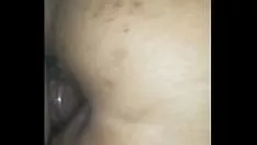 চালান মিসির খাওয়ানো