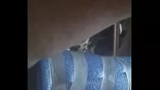 再生 ばらまく