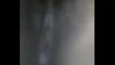Putar Debombax malabarica